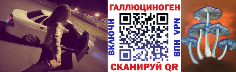 omg зеркало  Обь  Галлюциногенные грибы GOLDEN TEACHER 