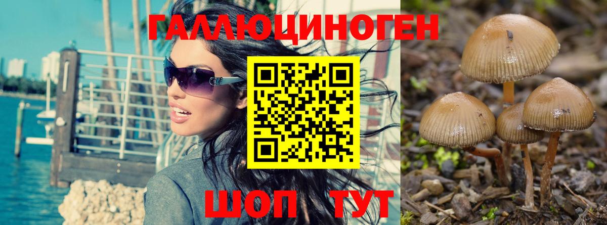 Обь  Галлюциногенные грибы прущие грибы  закладка  Вход с VPN 